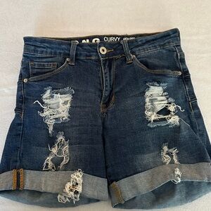 High Rise Distressed Denim Shorts